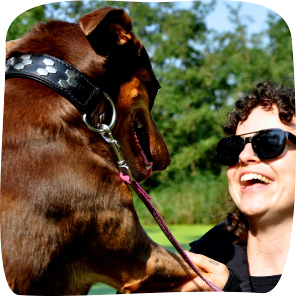 prive-uitlaatservice