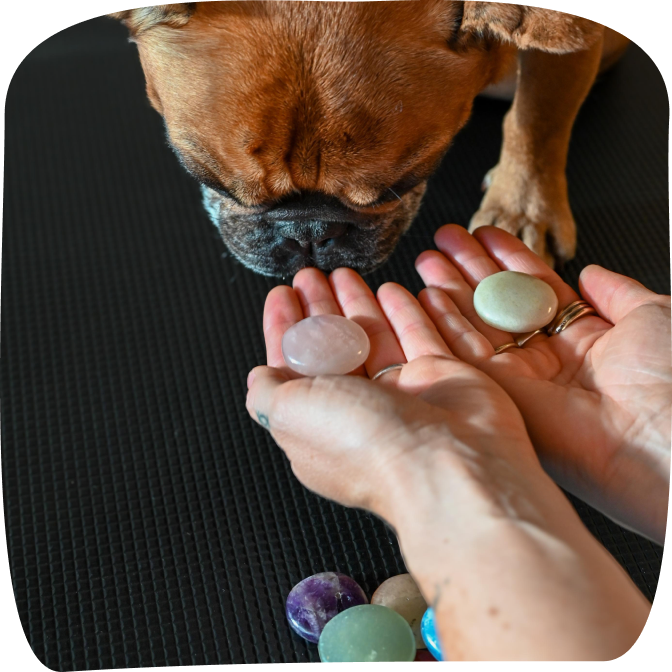 holistische-begeleiding