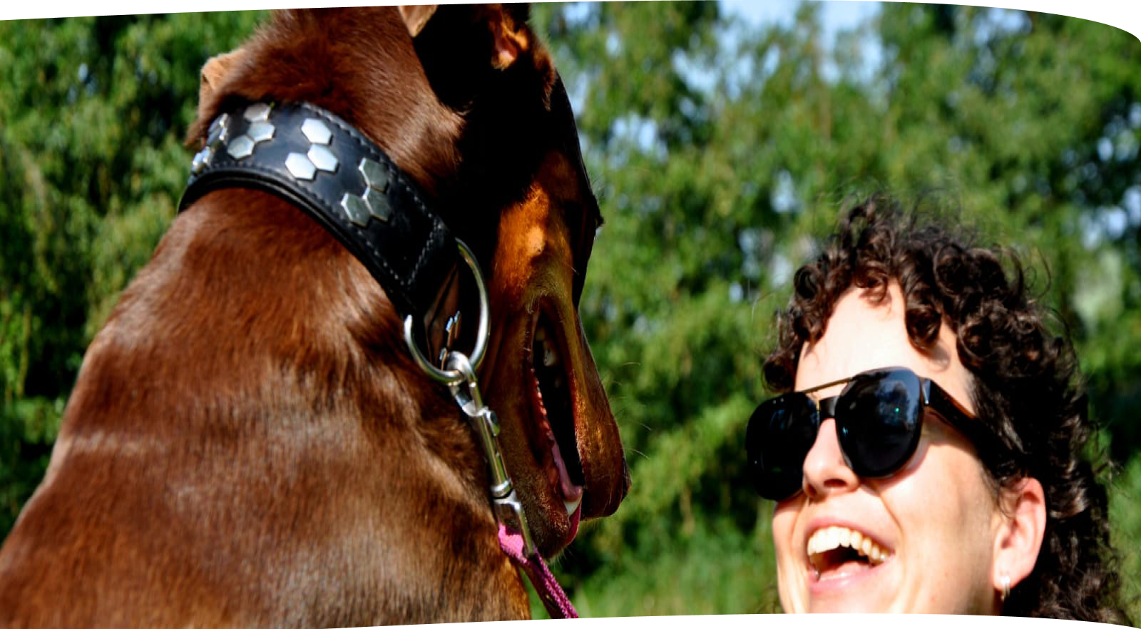 prive-uitlaatservice